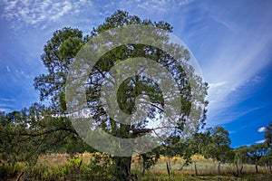 Rural mexican landscape with dramatic blue sky