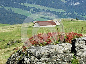 Rural and mountain farms and the traditional architecture in Thur River Valley