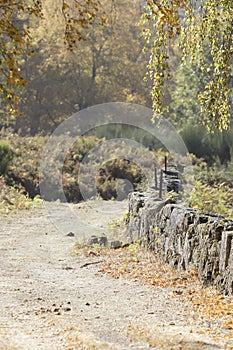 Rural mountain path