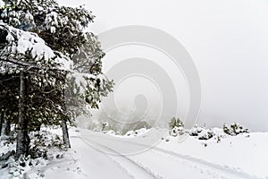 Rural mountain road completely covered with snow, with car rides