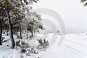 Rural mountain road completely covered with snow, with car rides