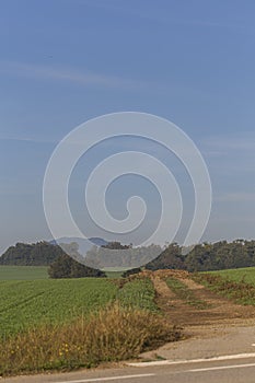 Rural muddy path on a green field countryside landscape