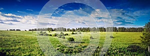 Rural nature landscape, meadow and forest