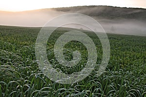 Rural New York Farm