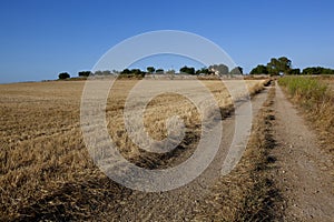 Rural non-urban road throw the field