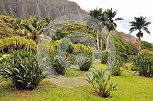 Rural Oahu