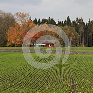 Rural October scene in Mellerud, Sweden