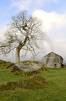 The rural old country barn.