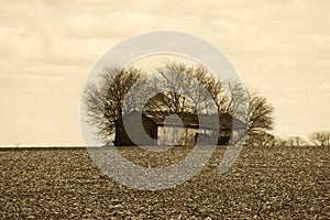 rural old deserted farm barn harvest farming cornfield corn harvested sepia retro history photograph