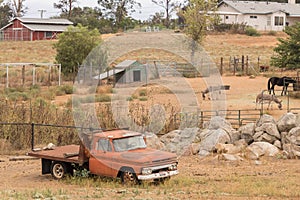 Rural old time vintage field landscape of an old orange flatbed truck,, western farm lifestyle, peaceful scene with farm animals i