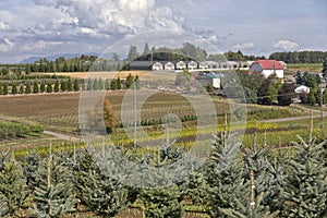 Rural Oregon nurseries and farmland.