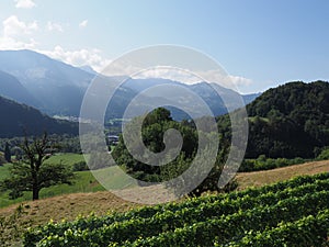 Rural panorama with Alps at european Gruyeres town in Switzerland on August