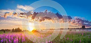 Rural panorama landscape with sunrise and blossoming meadow