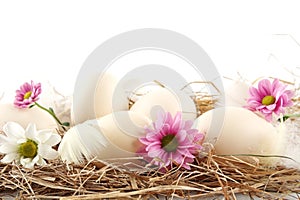 Rural pastel white easter eggs in the hay with pink flowers