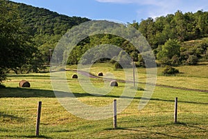 Rural pastoral landscape with farming green fields, haystack,hills forest.