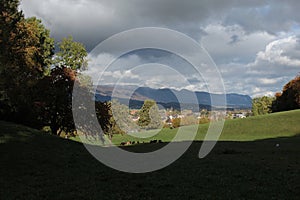 Rural Pasture and Trees