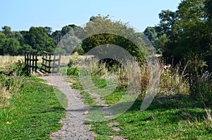 Rural path from Cambridge to Grantchester