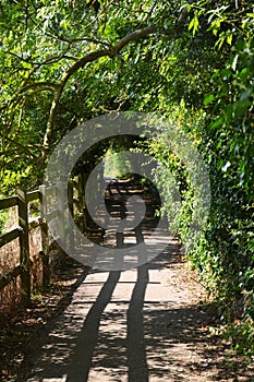 Rural path from Cambridge to Grantchester