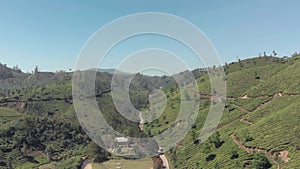 Rural path dividing the green lush hills and Tea plantations in Munnar, India - Aerial wide fly-forward