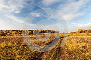 Rural path in a field