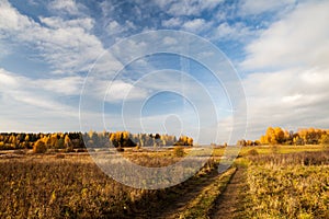 Rural path in a field