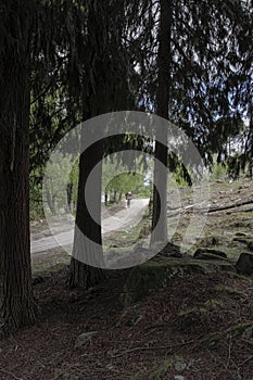 Rural path from Geres mountains