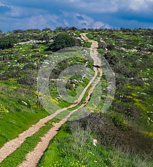 Rural path going to horizon