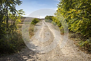 A rural path next to Plou town