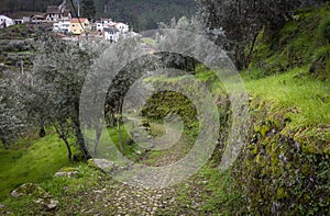 A rural path with stones in Barroca Schist Village photo