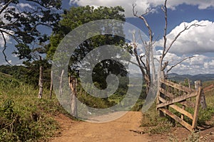 Rural Paths of Brazil