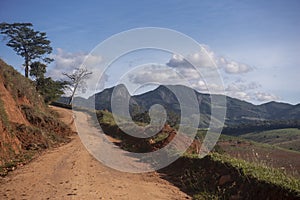 Rural Paths of Brazil