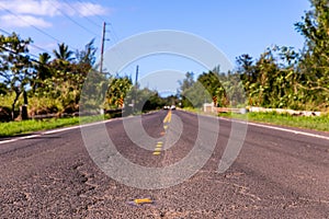 Rural paved road in tropics on sunny day