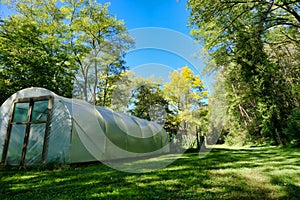 Rural Polytunnel photo