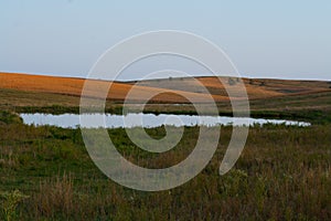 Rural Pond in the Sandhills