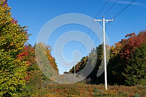 Rural power lines