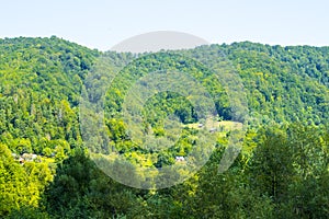 Rural property in the forest