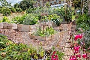 Rural Raised Bed Vegetable & Flower Garden