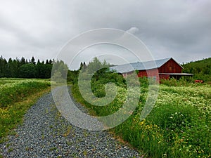 Rural red barn northern Sweden next to a gravel road