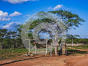 Rural region of the brazilian northeastern interior. The semi-arid tropical climate has the caatinga as a vegetation biome.