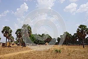 Rural region of the savanna in northern Togo, west africa