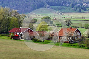 Rural residents in the Swedish countryside