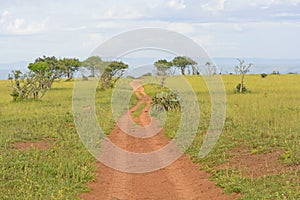 Rural Road in the African Veldt