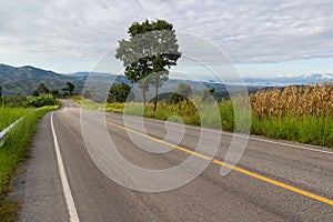 Rural road ahead to the mountain