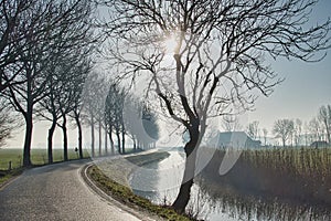 Rural road with bare trees and watercourse in Groningen, Netherlands