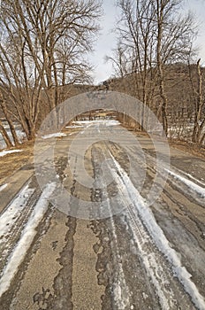 Rural Road in the Bayou in Winter