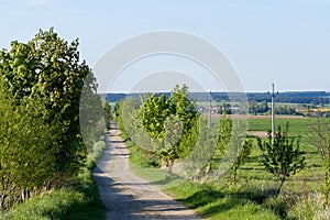 Rural road on Beautiful spring rural landscape