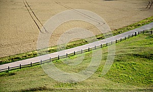 Rural road bisecting fields