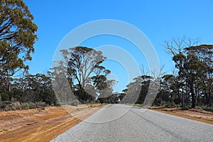 Rural road through the bushland of the Western Australian Wheatbelt