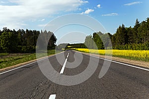 Rural road . canola