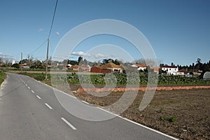 Rural road at Chipar de Cima Vilarinho do Bairro Anadia photo